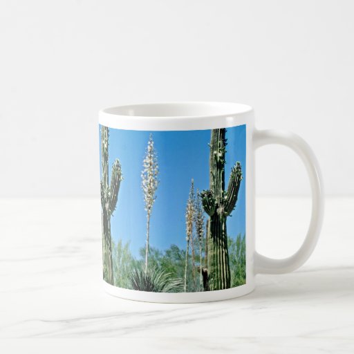 Cactus de floraison de Saguaro, yucca Tasse