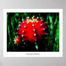 Cactus de lune (luminescent) poster