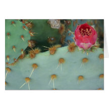 Cactus de poire de Prickley en fleur Carte