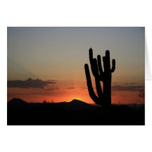 Cactus de Saguaro au coucher du soleil Cartes De Vœux