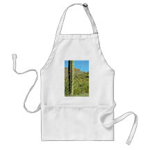 Cactus d'Ocotillo et de Saguaro Tabliers