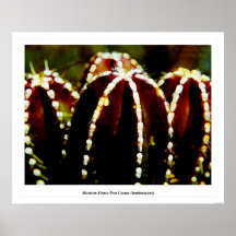Cactus mexicain de courrier de barrière (luminesce posters