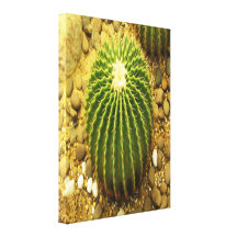 Cactus Toiles Tendues Sur Châssis