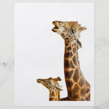 Cadeau de famille de girafe prospectus