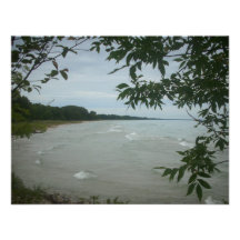Cadre d'arbre de plage bristols