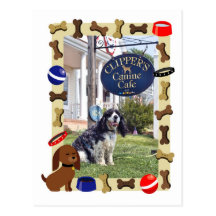 Café canin cartes postales