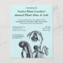 Californica de Darlingtonia, plante carnivore Tract Customisé