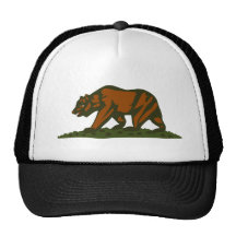 Californië draagt mesh pet