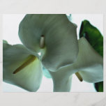 Calla lelie folder