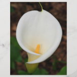 Calla lelie folders