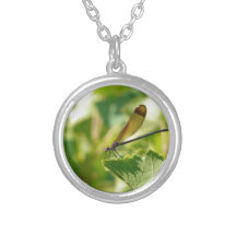 Calopteryx Pendentifs