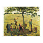 Camille Pissarro - Apple moissonnent l'huile d'Era Carte Postale