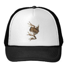 Canalisation verticale de forêt grenouille casquettes de camionneur
