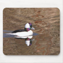 Canard de Bufflehead avec la réflexion Tapis De Souris