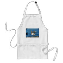 Canard de canard pilet tablier
