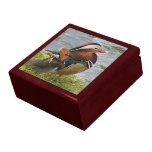 Canard de mandarine riant coffrets cadeaux