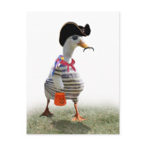 Canard de pirate carte postale