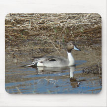 Canard du canard pilet B0005 Tapis De Souris