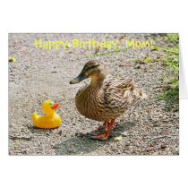 Canard en caoutchouc et canard de mère cartes