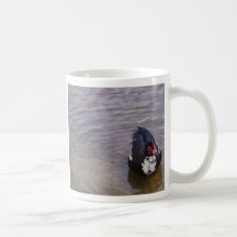 canard sur l'étang tasse