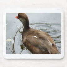 Canard Tapis De Souris