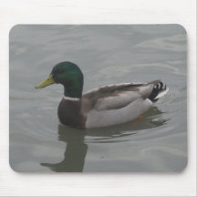 Canard Tapis De Souris