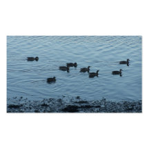 Canards Cartes De Visite Personnelles