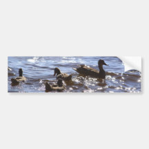 canards de soleil autocollants pour voiture