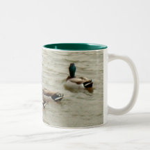 canards tasse