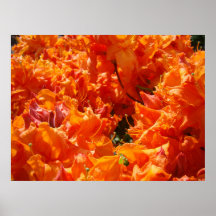 Canvas van het Print van de Kunst van de Azalea va