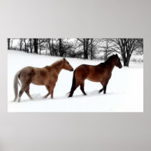 Capaill i Sneachta Posters