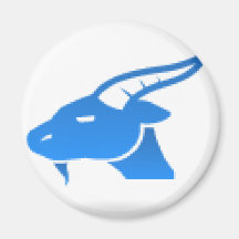CAPRICORNE D'HOROSCOPE MAGNETS POUR RÉFRIGÉRATEUR