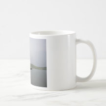 Capture d'un arc-en-ciel tasse