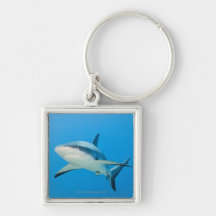 Caraïbische ertsaderhaai (perezi Carcharhinus) Sleutelhanger