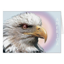 card940 kaarten