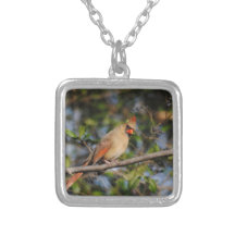 Cardinal féminin 3 collier
