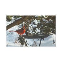 Cardinal rouge de BR dans la copie de toile de nei Impression Sur Toile
