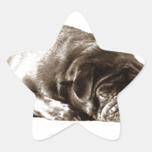 Carlin noir sticker en étoile