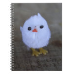 Carnet blanc de poulet de Pâques