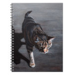 Carnet de marche d'ombre du soleil de chat