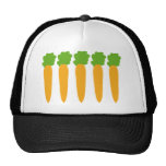 carottes alignées casquettes de camionneur