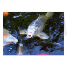 Carpe de Koi Carte
