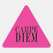 Carpe Diem grijpt het Geluk van het Citaat van de  Driehoekige Stickers
