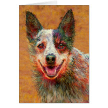 carte australienne de chien de bétail
