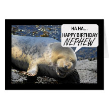 Carte d'anniversaire de neveu avec le bébé phoque 