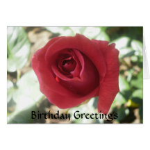 Carte d'anniversaire de rose rouge