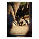 Carte d'anniversaire d'éléphant de bébé