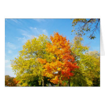 Carte d'arbre orange
