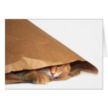 Carte de chat de sac de papier de Brown