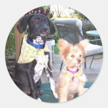 Carte de chiot autocollants